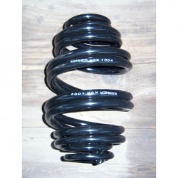 Пружина задняя LANOS стандарт