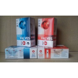 Клапана Ваз-2109 (1500) AMP