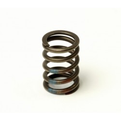 Пружина клапана LANOS 1,5 SOHC NEXIA 1.5 SOHC /GM Корея (ориг)