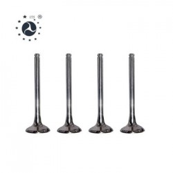 Клапан впускной Лачетти 1,6 DOHC GM Корея