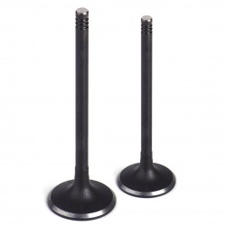 Клапан выпускной Лачетти 1,8 DOHC GM Корея (ориг)